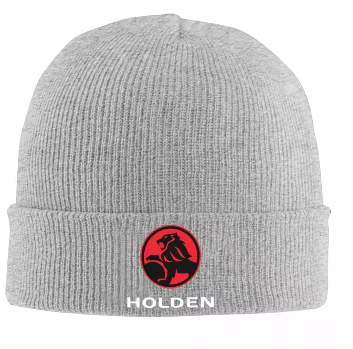 Gray beanie with Holden logo on a white background