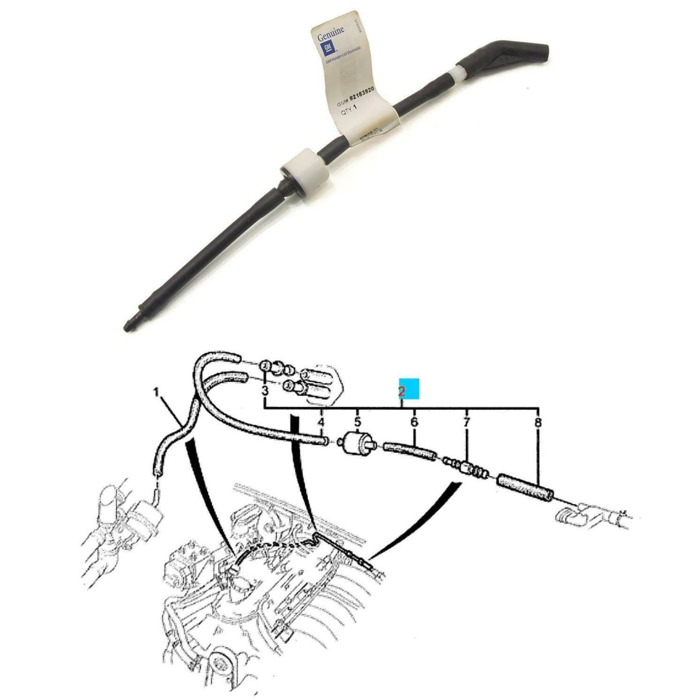 Holden Commodore VT VX VY VZ Genuine Vacuum Valve + Hose Set 92183920